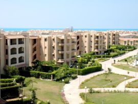 A government plan for the development of the globe and the development of a new mechanism